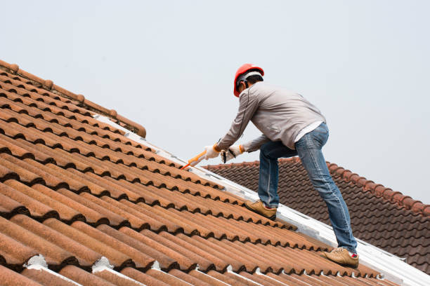 Best Rubber Roofing (EPDM, TPO)  in Forest Heights, TX