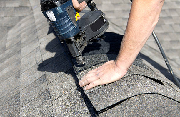 Best Roof Leak Repair  in Forest Heights, TX